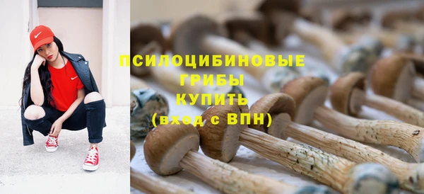 таблы Зеленодольск
