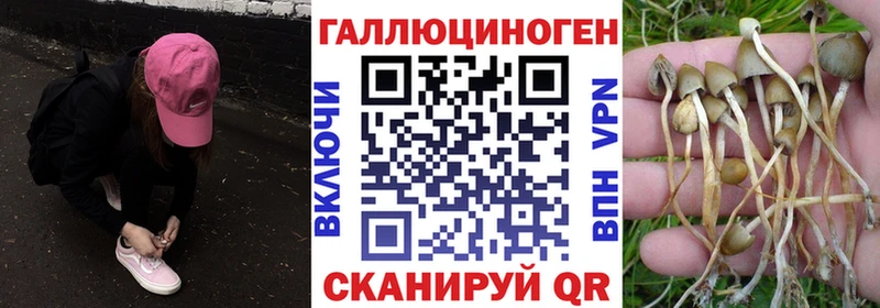 Галлюциногенные грибы мицелий  блэк спрут ТОР  Фрязино 