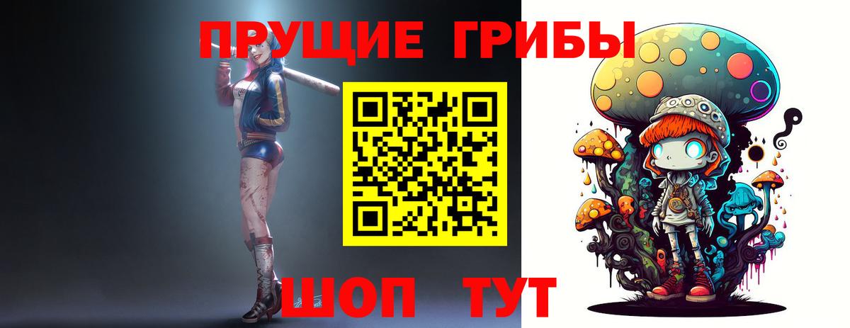 Фрязино  где купить наркоту  Вход с VPN  Галлюциногенные грибы MAGIC MUSHROOMS 